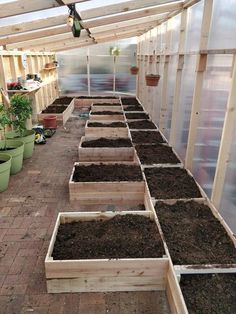 several wooden boxes filled with dirt in a greenhouse