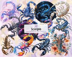 various scorpions and seahorses are featured in this colorful watercolor painting style