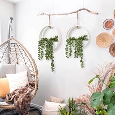 two hanging plants are on the wall next to a wicker hammock chair