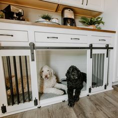 two dogs are sitting in their kennels at the kitchen counter and on the floor