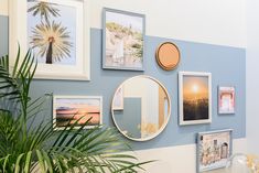 there are many pictures on the wall and one has a plant in front of it