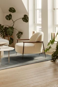 a living room filled with furniture and a plant