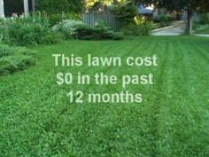 the lawn cost is $ 10 in the past 12 months