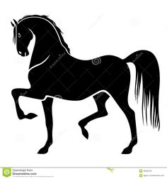 black and white silhouette of a horse on a white background stock photo - image 3497