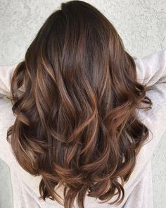 Reddish Brown Hair Color, Light Brown Balayage, Chestnut Brown Hair, Colour Spectrum, Red Blonde, Chestnut Hair, Fancy Hair