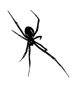 a black and white drawing of a spider