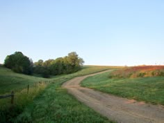 a dirt road going through a lush green field