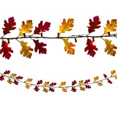 autumn leaves are hanging from a branch