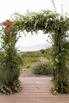 an outdoor wooden walkway surrounded by greenery