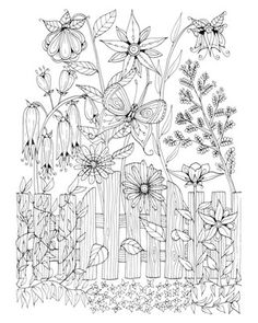 a garden scene with flowers and plants in black and white coloring book page for adults