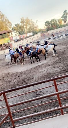 a group of people riding on the backs of horses in an arena at a horse show