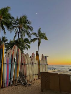 Summer View Aesthetic, Beach Vacation Vision Board, Aesthetic Summer Pictures Beach, Hawaii Surfing Aesthetic, Beach Aesthetic Hawaii, Summer Aesthetic Hawaii, Surf Beach Aesthetic, Hawaii Local Aesthetic, Hawai’i Aesthetic