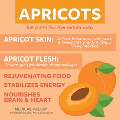 Apricots: Rejuvenation Fruit Raspberry Crumble Bars, Raspberry Crumble, Healing Food, Medical Research, Health Articles, Detox Smoothie