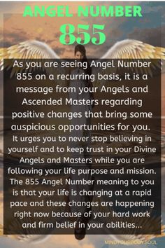 an angel number is the message for you to be aware about what they are doing