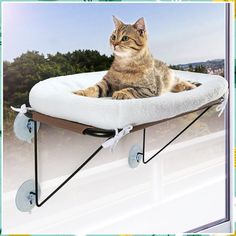 LSAIFATER Cat Window Perch with Supported Under Metal, Cat Hammock with Spacious and Comfortable Pet Bed for Kittens & Large Cat Window Bed, Cat Window Perch, Window Perch, Metal Cat, Work Space Decor, Cat Window, Cat Hammock, Window Bed, Hammock Chair