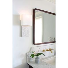 a bathroom sink with a mirror above it and a potted plant on the counter