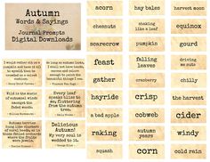 some type of words that are written in different font styles and colors, including the word autumn