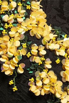 some yellow flowers and green leaves on a black surface