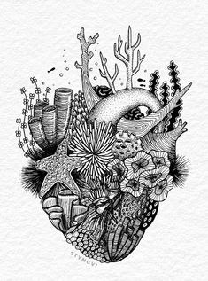 a drawing of a heart surrounded by plants and corals