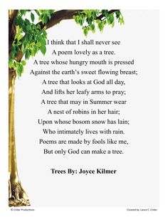 trees by joyce klimer poem