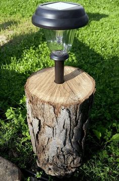 a light that is on top of a tree stump