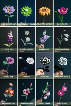 the different types of flowers are shown in this image, and each flower has its own name