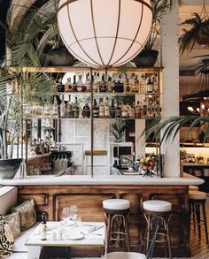 the bar is decorated with plants and bottles