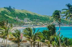 palm trees line the beach in front of a hill