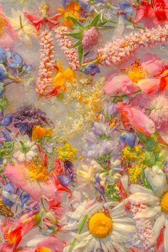 an image of flowers that are in the middle of some kind of art work on paper