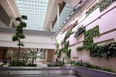 an escalator with plants growing on the wall and ceiling in a large building