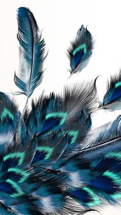 several blue feathers floating in the air on a white background with green and black accents