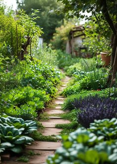 a garden filled with lots of green plants and flowers next to trees on either side of the path