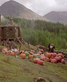 people picking up pumpkins from the ground in front of an old stone house with mountains in the background