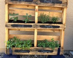 an old pallet is used as a herb garden