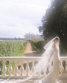 a woman in a wedding dress is standing on a balcony looking out at the vineyard