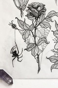 Cute Gothic Tattoo Ideas, Burnt Out Tattoo, Spiderweb Rose Tattoo, Dark Ethereal Tattoo, Spiderweb Floral Tattoo, Dark Botanical Art, Creepy Feminine Tattoos, Flowers And Spider Web Tattoo, Spider Ink Drawing