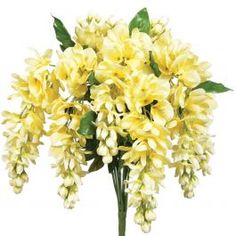 a bouquet of yellow flowers on a white background