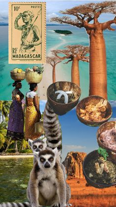 a collage of pictures with animals, people and food items in the foreground