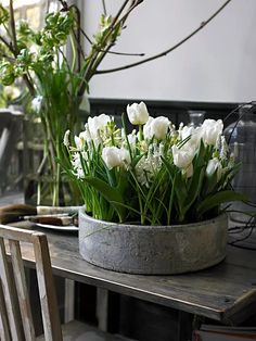 white tulips are in a pot on a table