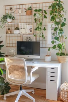 a white desk topped with a computer monitor next to a plant filled wall mounted on the wall