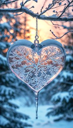 a heart shaped glass ornament hanging from a tree branch in front of snow covered trees