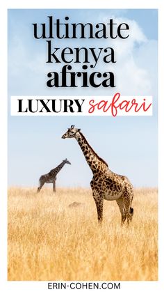 two giraffes standing in the middle of a field with text overlay that reads ultimate kenya africa luxury safari