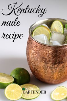 Kentucky Mule Recipe Kentucky Mule, Ginger Beer Cocktail, Mule Cocktail, Mule Recipe, Ginger Syrup, Kentucky Bourbon, Best Cocktail Recipes, Popular Drinks, Mint Sprig