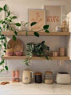 a kitchen counter with some plants and other items on top of the shelves above it