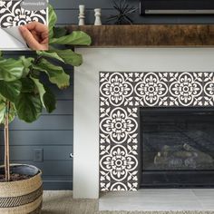 a living room with a fireplace, potted plant and television on top of it