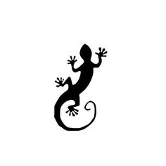 a lizard silhouetted on a white background