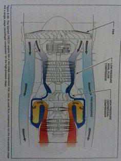 an image of a diagram of the inside of a human body