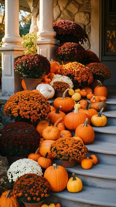 pumpkins and gourds are arranged on the steps