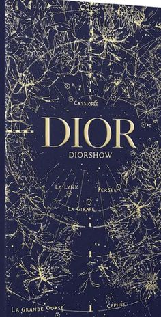 the cover of dior's book, which is written in gold and blue