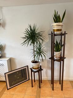 three potted plants sitting on top of wooden stands